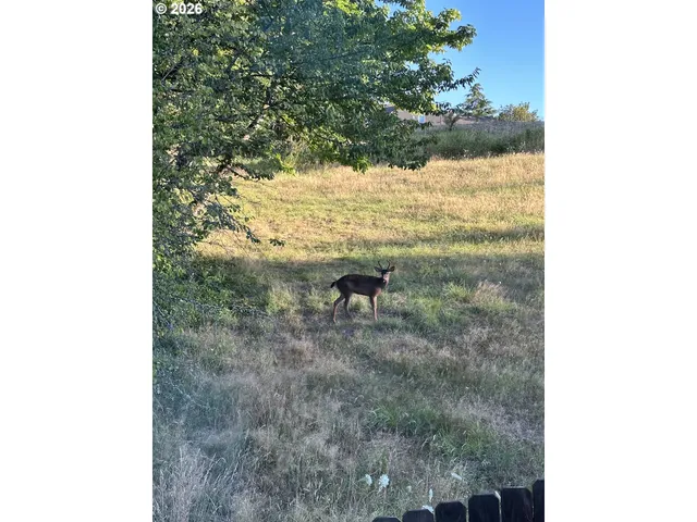 $950,000 | 1421 Northwest 117th Circle, Vancouver, WA 98685