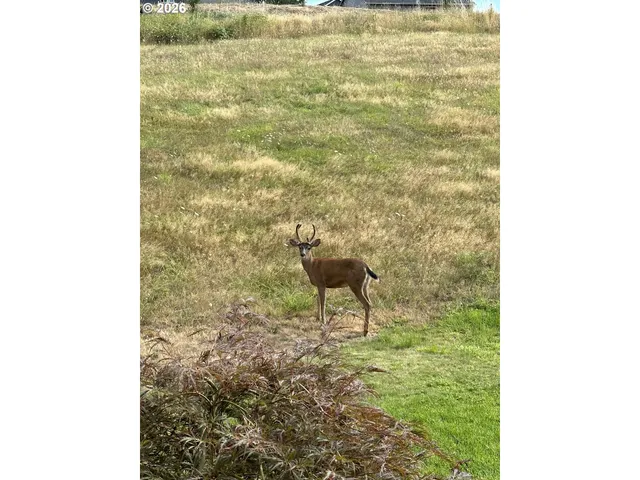 $950,000 | 1421 Northwest 117th Circle, Vancouver, WA 98685