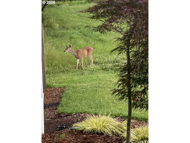 $950,000 | 1421 Northwest 117th Circle, Vancouver, WA 98685