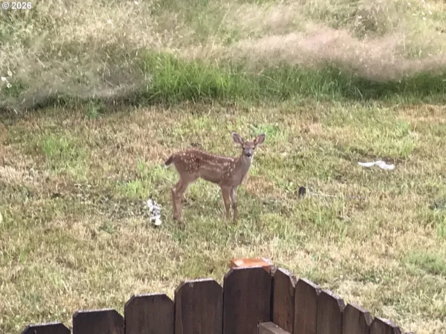 $950,000 | 1421 Northwest 117th Circle, Vancouver, WA 98685