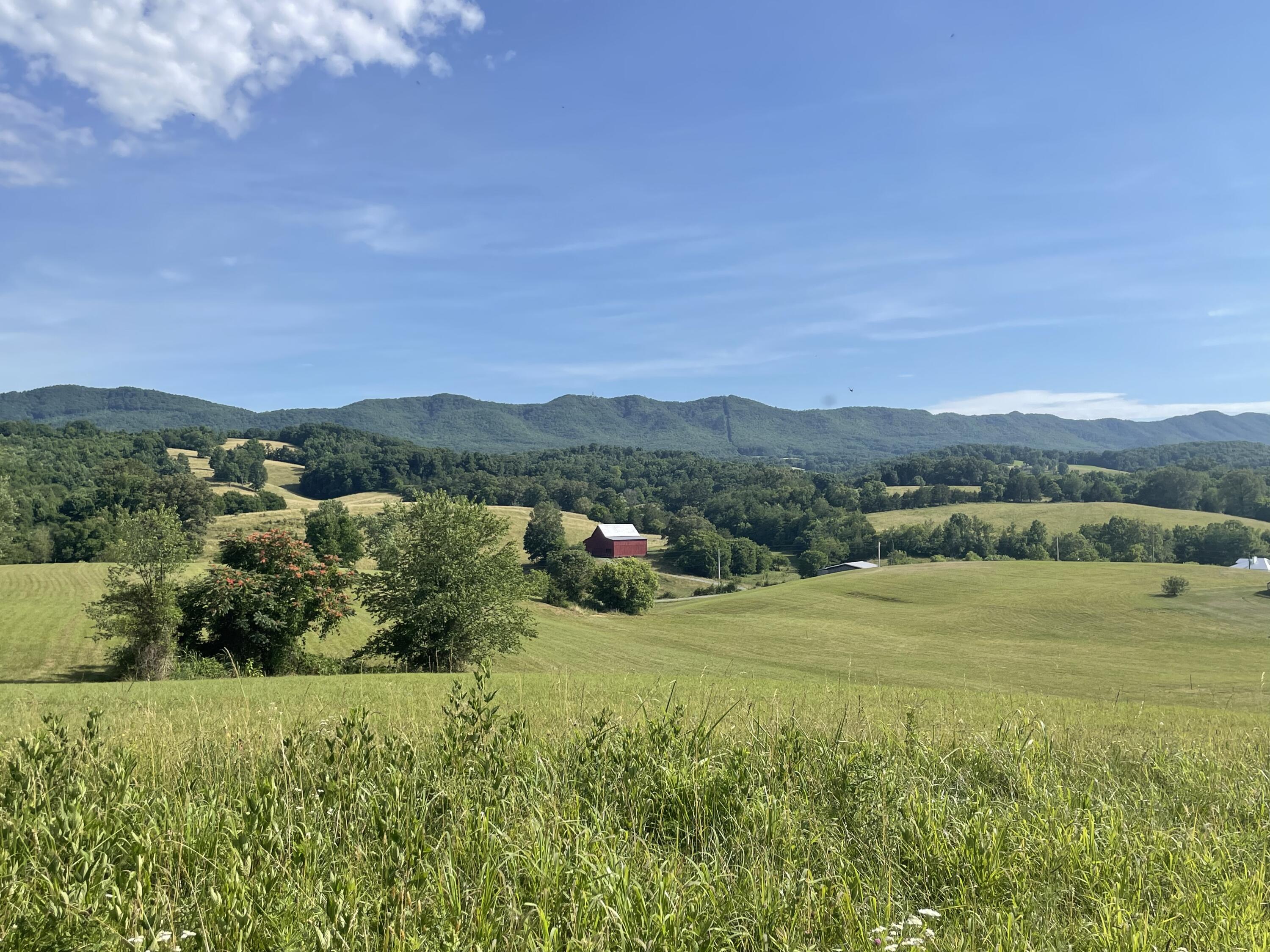 483 Ostrich Road, Unit 11 Greeneville, TN 37743 - Photo 18 of 25 Picturesque!