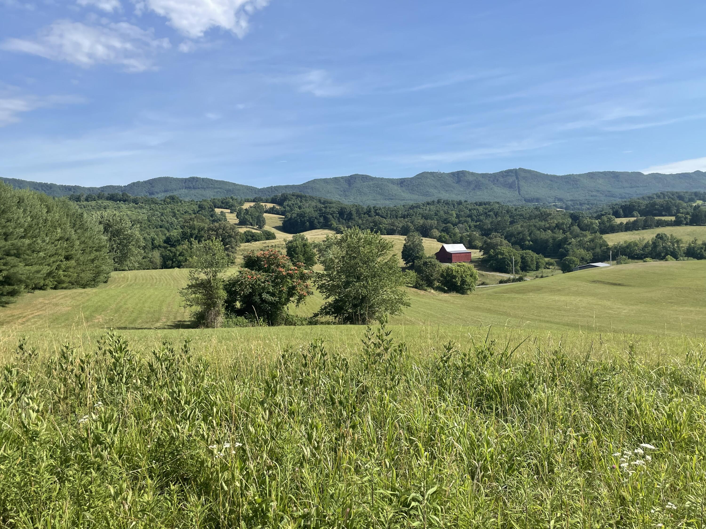 483 Ostrich Road, Unit 11 Greeneville, TN 37743 - Photo 19 of 25 Looking out!