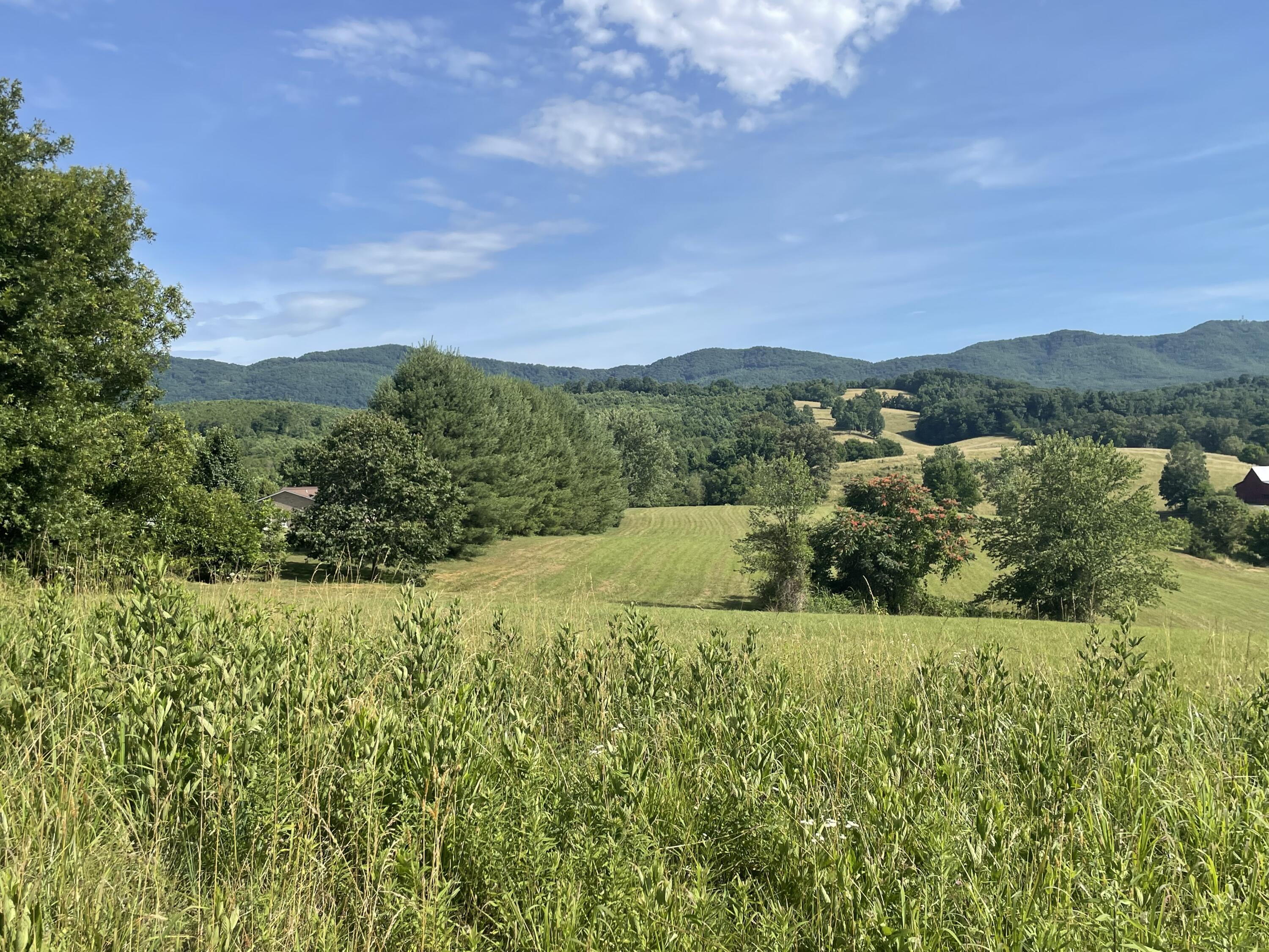 483 Ostrich Road, Unit 11 Greeneville, TN 37743 - Photo 23 of 25 STUNNING!