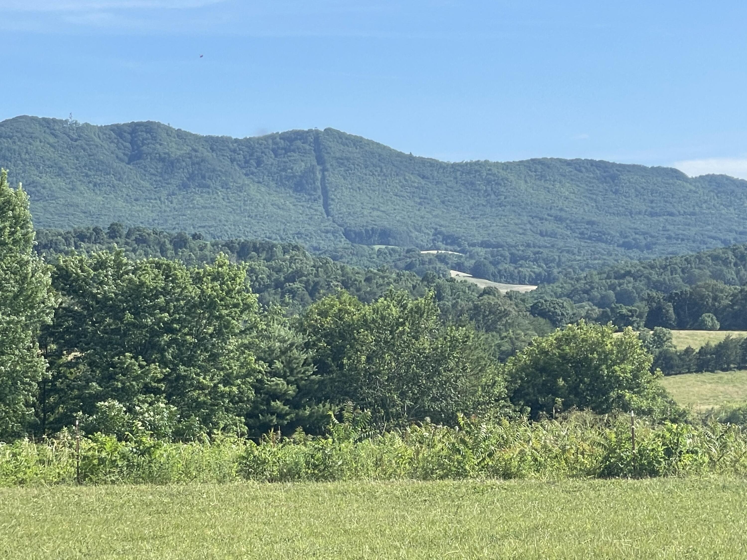 483 Ostrich Road, Unit 11 Greeneville, TN 37743 - Photo 4 of 25 Stunning Views!