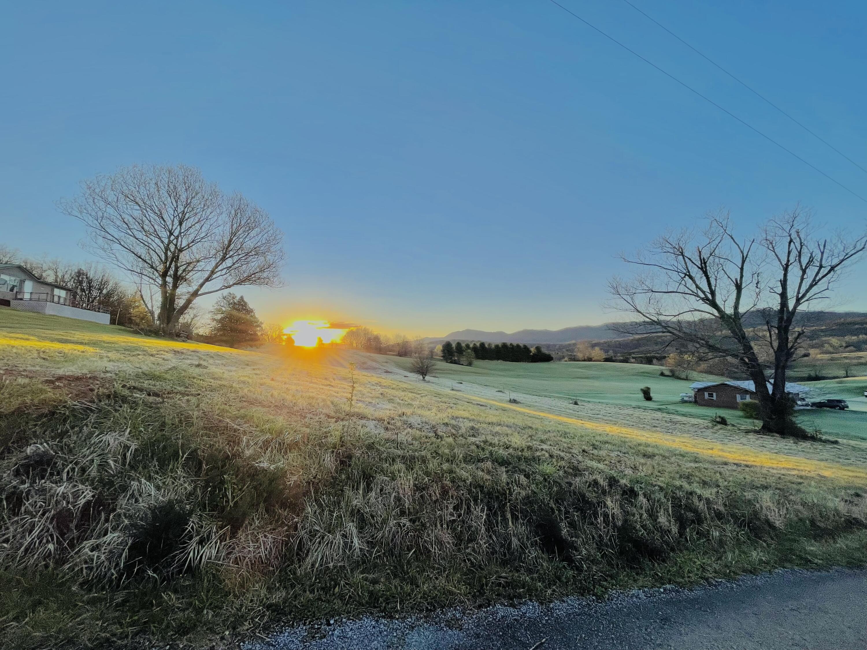 483 Ostrich Road, Unit 11 Greeneville, TN 37743 - Photo 6 of 25 Looking at the land from the road!