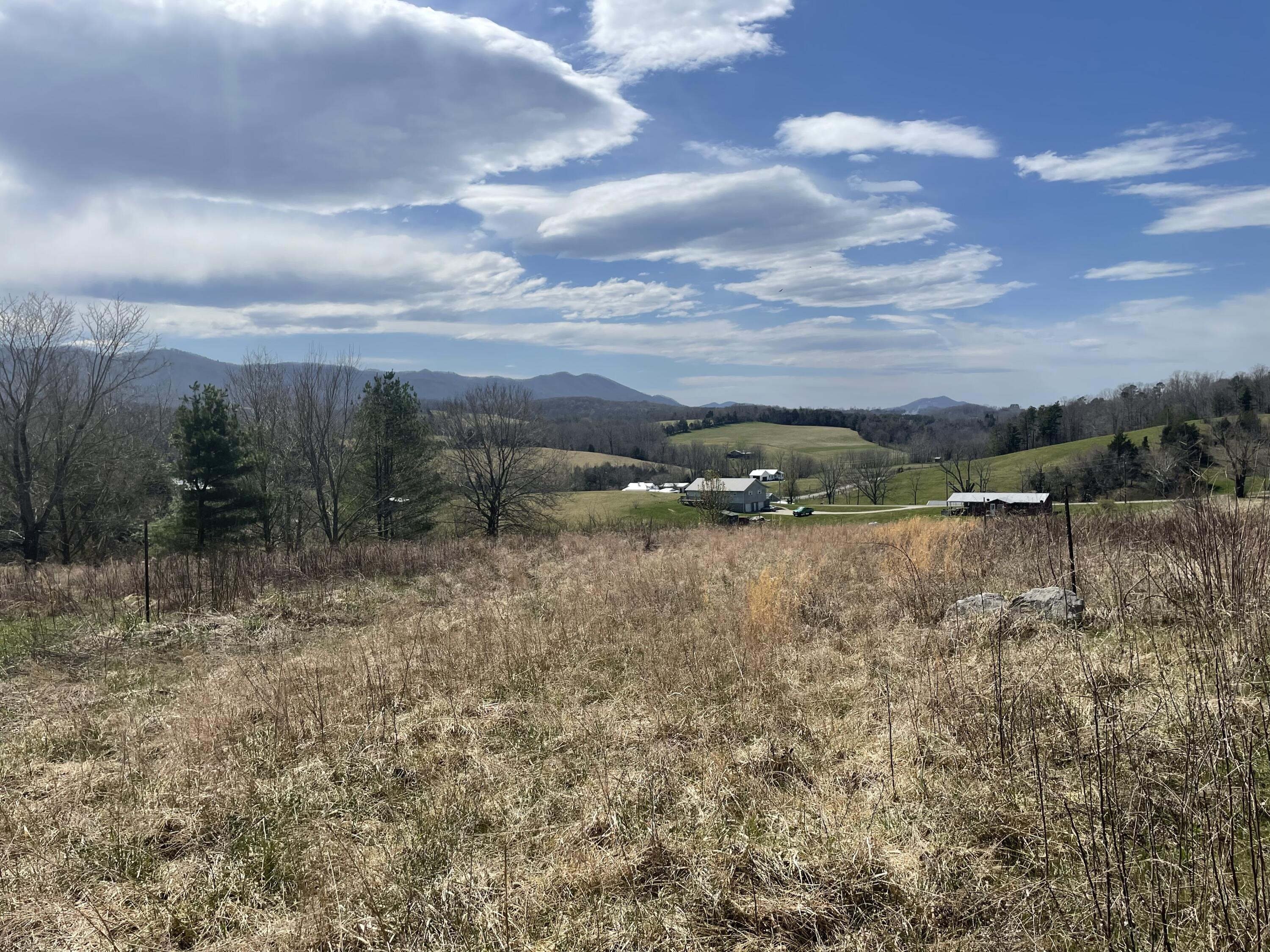 483 Ostrich Road, Unit 11 Greeneville, TN 37743 - Photo 9 of 25 From the top!