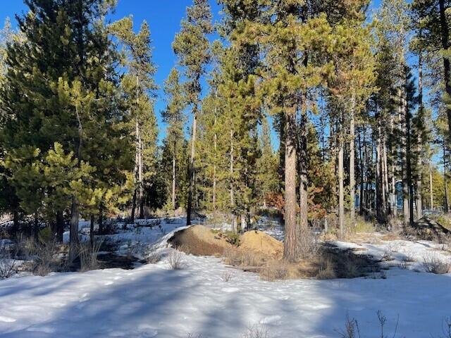 17062 Indio Road Bend, OR 97707 - Photo 4 of 10 4