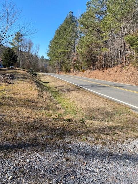 293 Wheeler Dam Road Cohutta, GA 30710 - Photo 4 of 11 Gallery Image 4