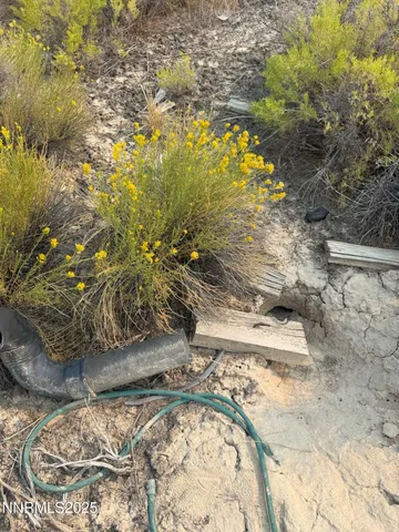 a view of beach and lake