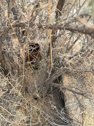 $40,000 | 1980 Millard Fillmore Avenue, Battle Mountain, NV 89820