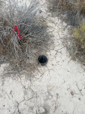 a view of a dry yard with wooden floor and a sink