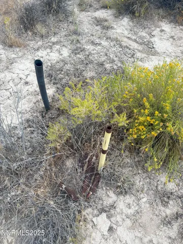 a view of a dry yard with wooden fence