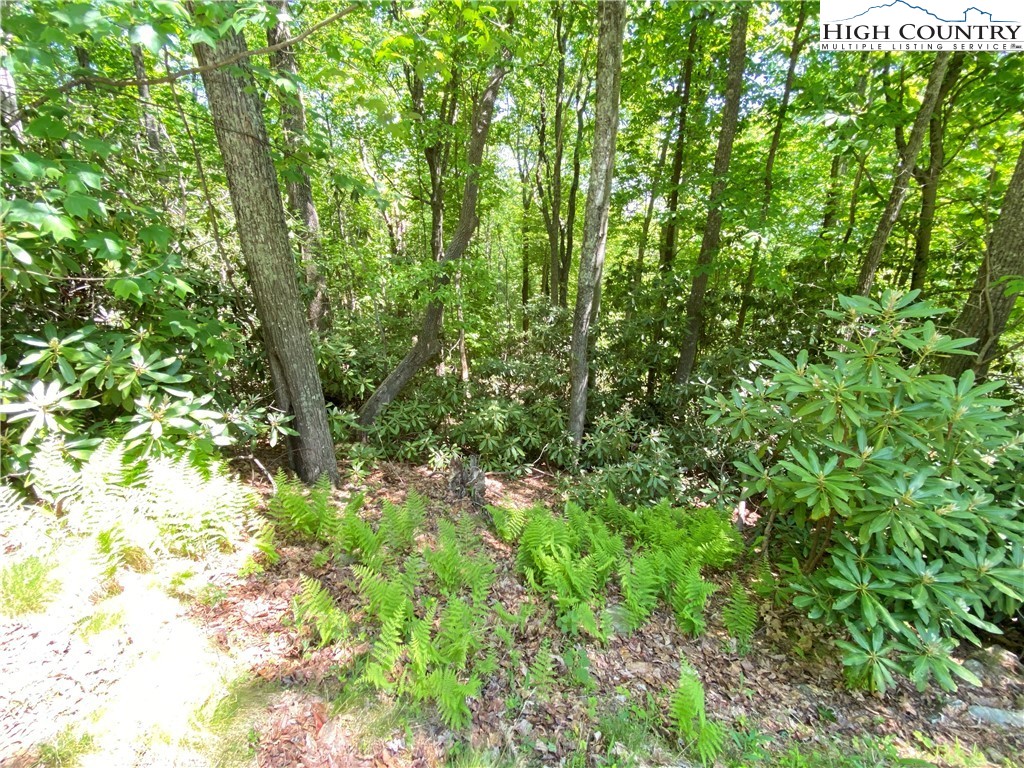 Lot 5 Little Laurel Road Boone, NC 28607 - Photo 2 of 7 Gallery Image 2