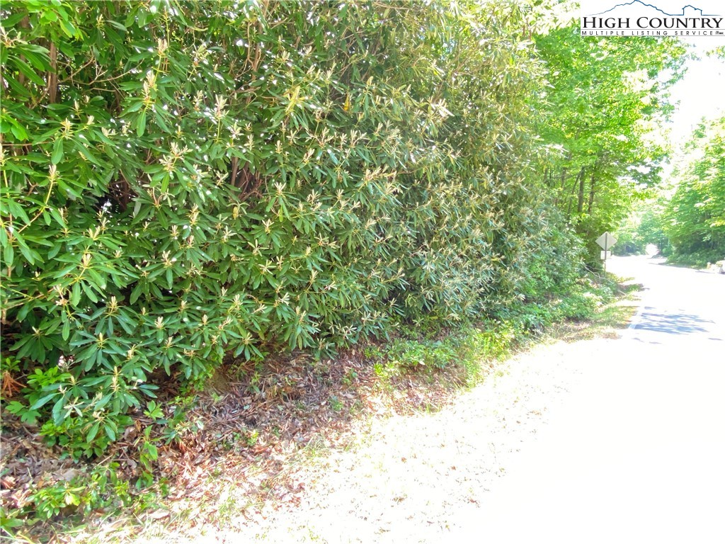 Lot 5 Little Laurel Road Boone, NC 28607 - Photo 3 of 7 Gallery Image 3