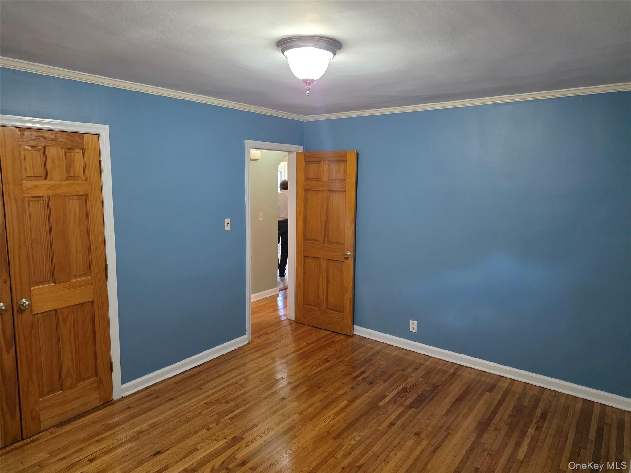 220 Raff Avenue Mineola, NY 11501 - Photo 10 of 22 bedroom with wood finished floors, crown molding, and a closet