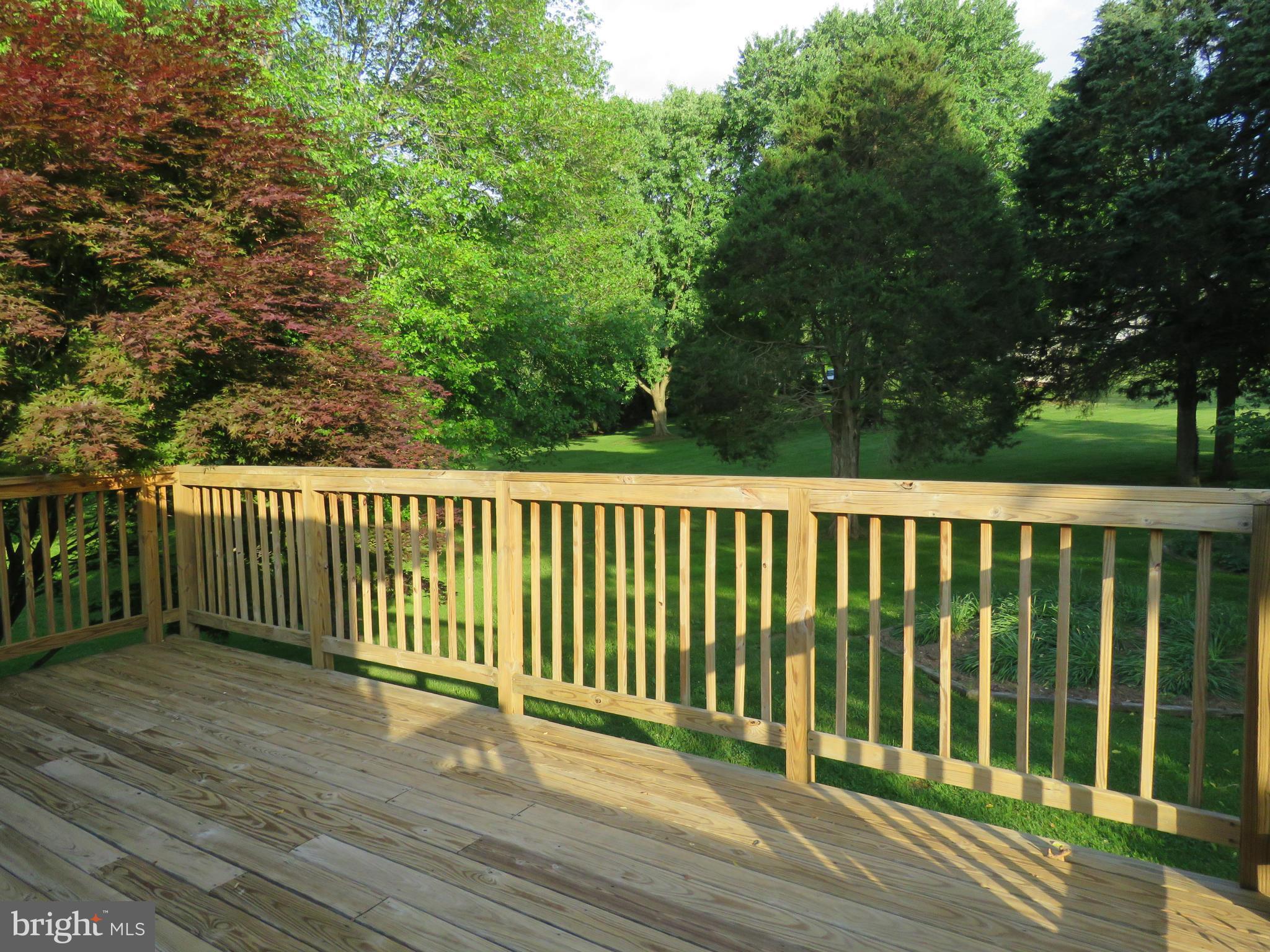 7167 Rixeyville Road Rixeyville, VA 22737 - Photo 6 of 22 Exterior (Rear)