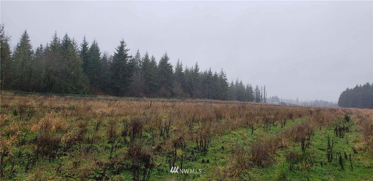 255 Meier Road Winlock, WA 98596 - Photo 11 of 25