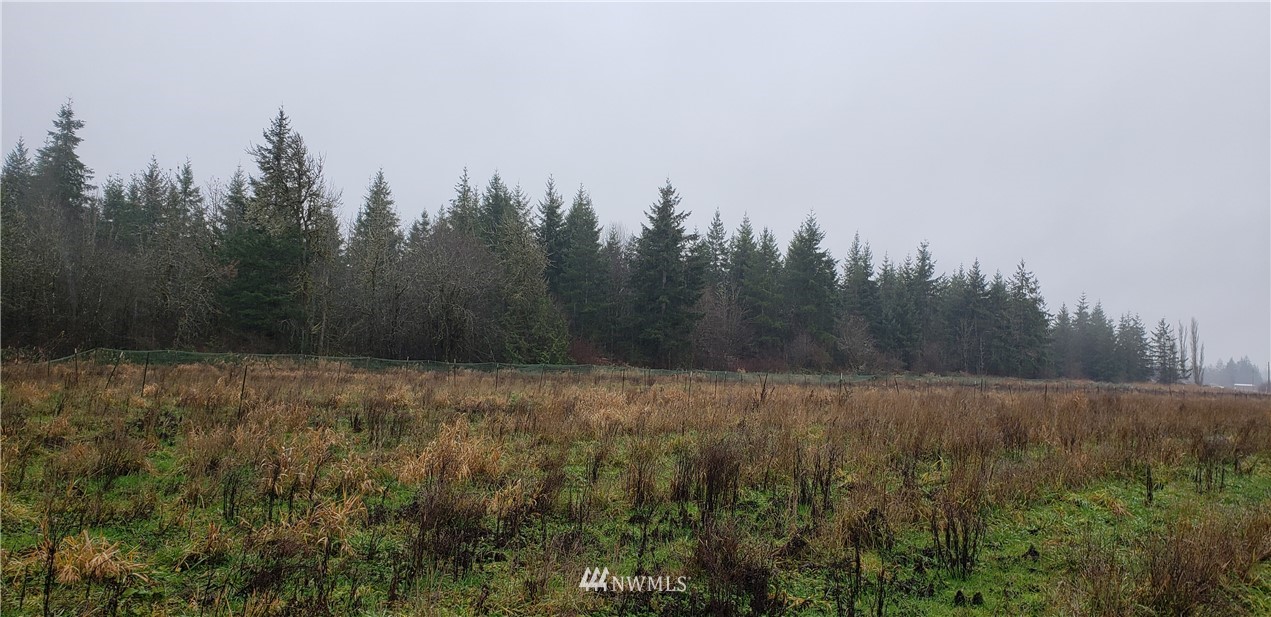 255 Meier Road Winlock, WA 98596 - Photo 12 of 25