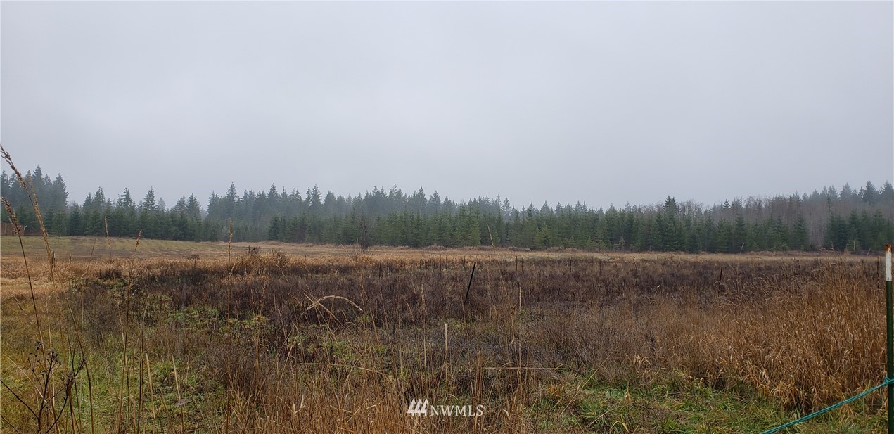 255 Meier Road Winlock, WA 98596 - Photo 14 of 25