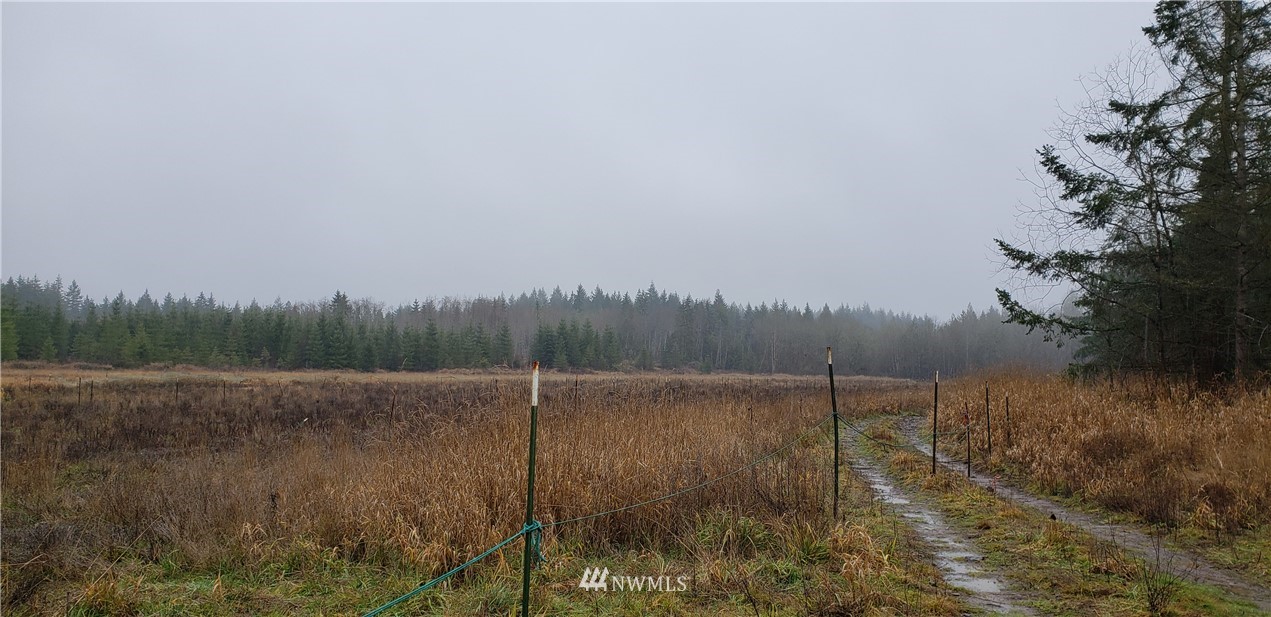 255 Meier Road Winlock, WA 98596 - Photo 15 of 25