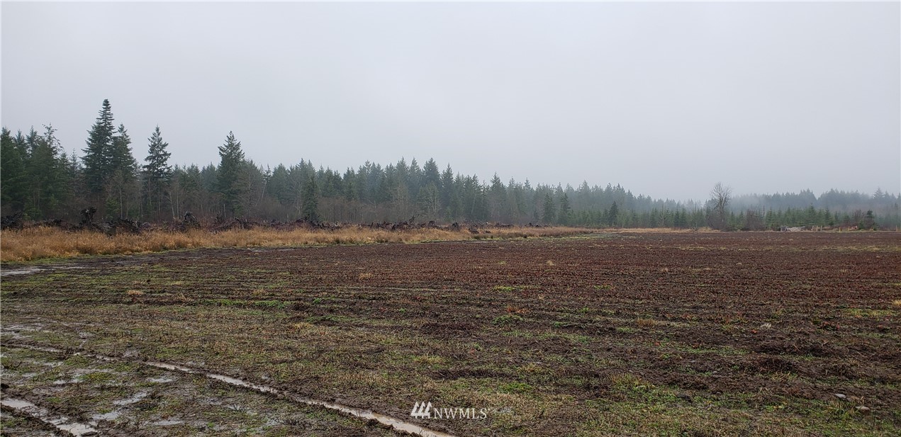 255 Meier Road Winlock, WA 98596 - Photo 16 of 25