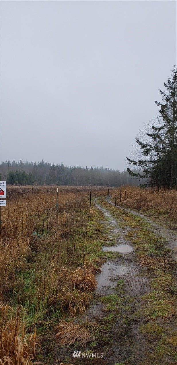 255 Meier Road Winlock, WA 98596 - Photo 17 of 25