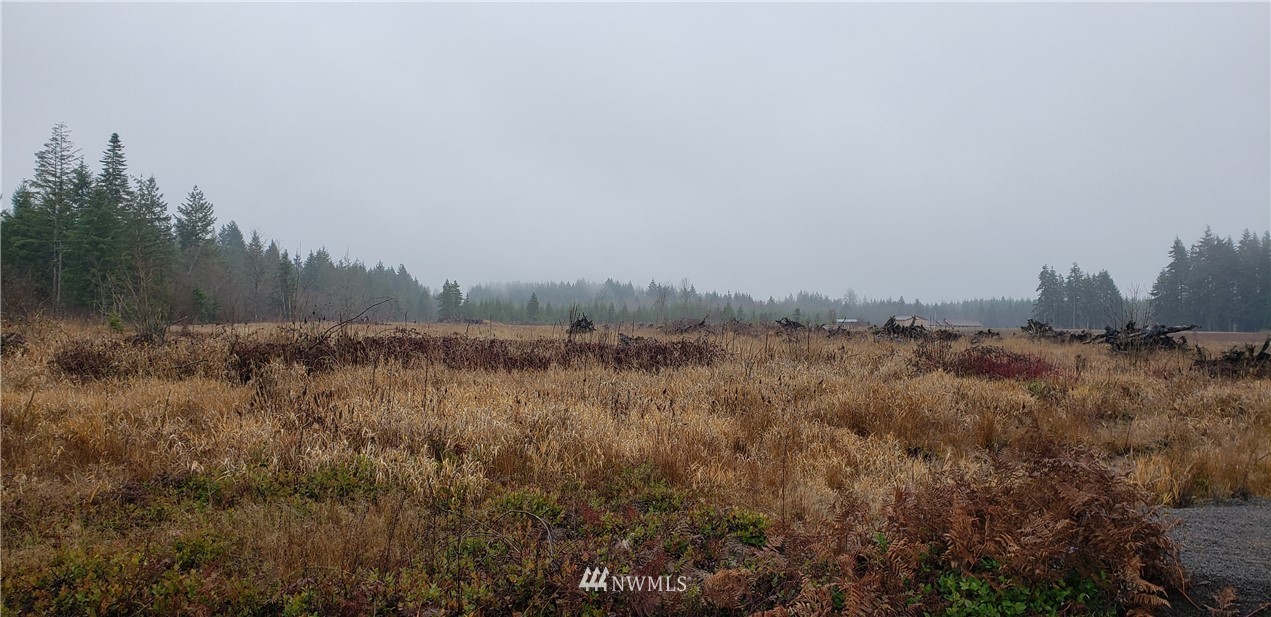 255 Meier Road Winlock, WA 98596 - Photo 20 of 25