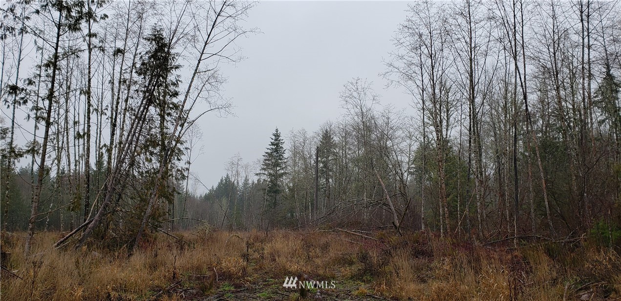 255 Meier Road Winlock, WA 98596 - Photo 8 of 25