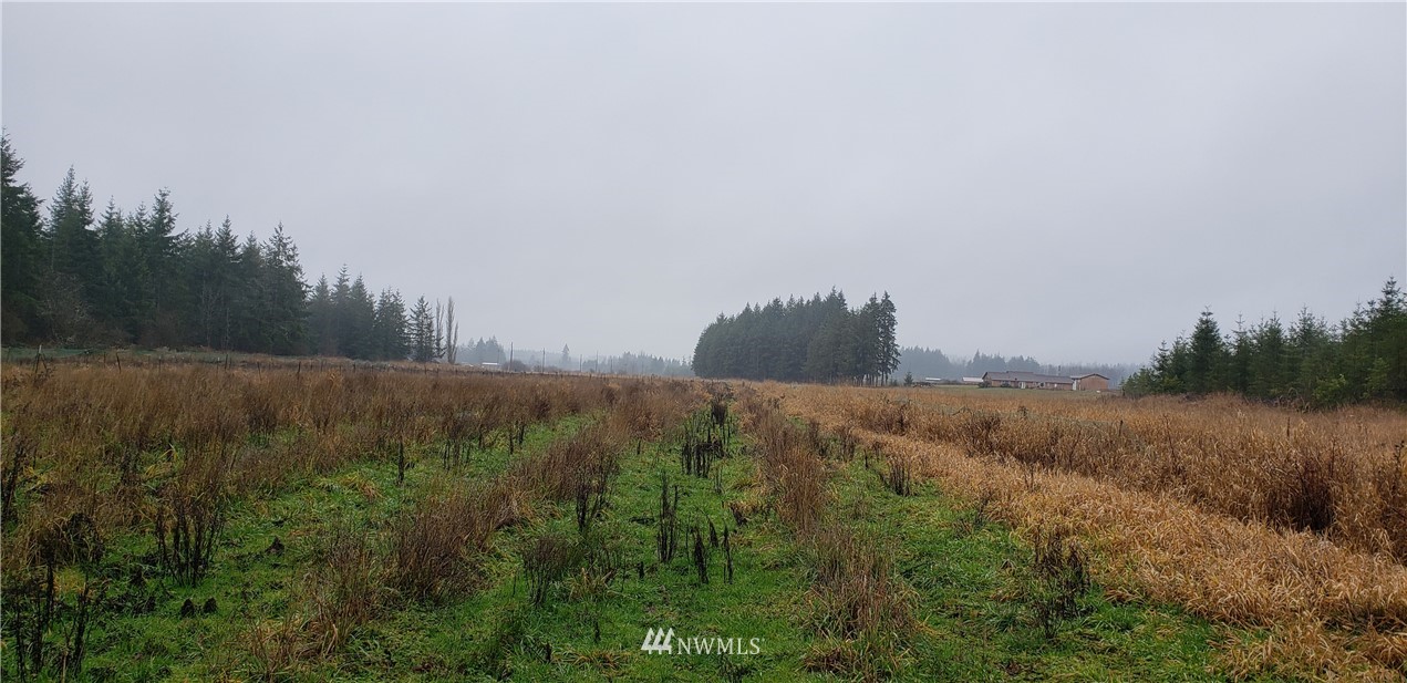 255 Meier Road Winlock, WA 98596 - Photo 9 of 25