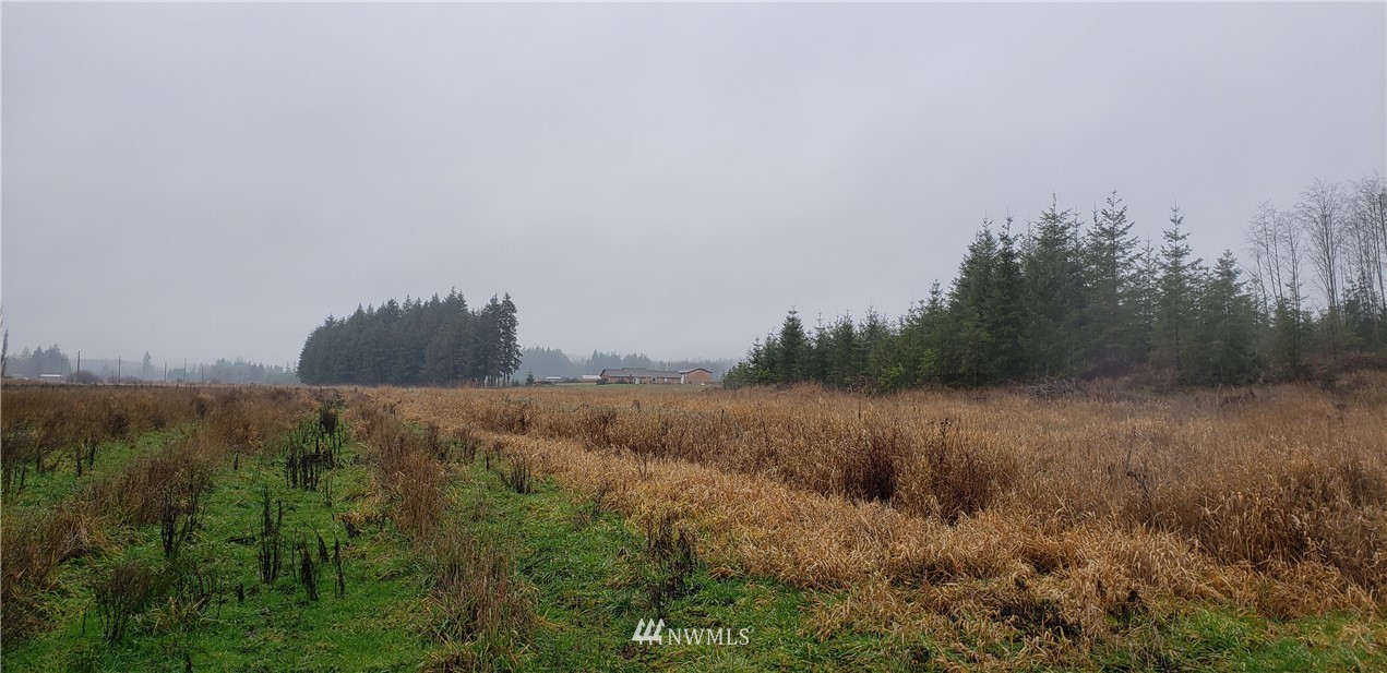 255 Meier Road Winlock, WA 98596 - Photo 10 of 25