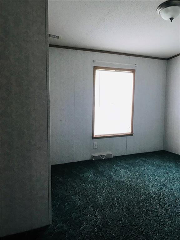315 Glade Run Road Carmichaels, PA 15320 - Photo 16 of 19 Gallery Image 16