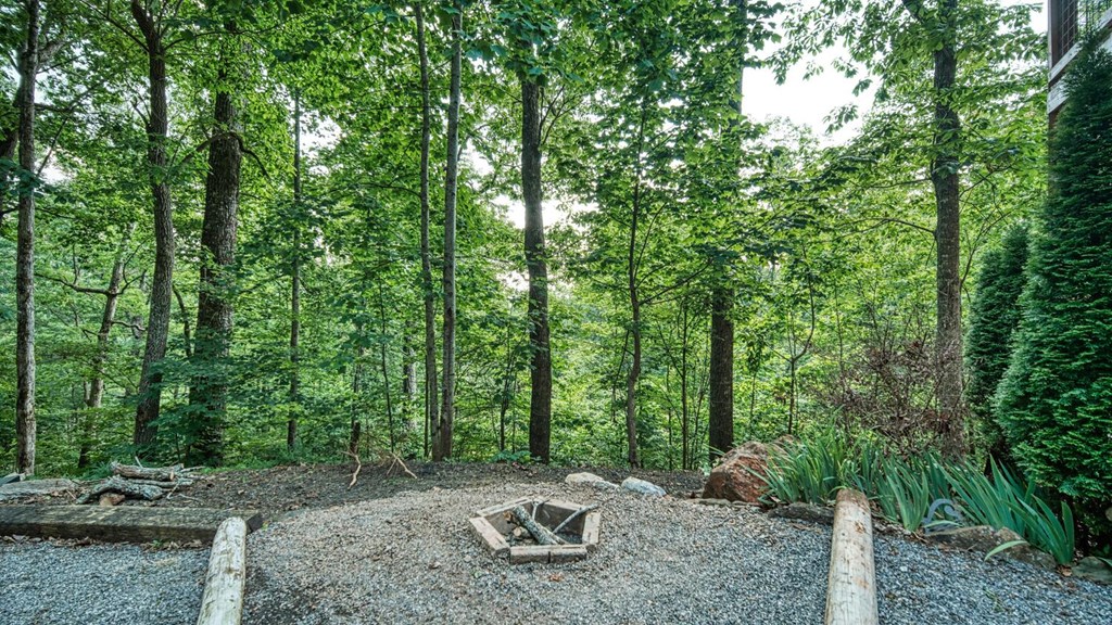 2529 Hunter Road Hiawassee, GA 30546 - Photo 44 of 52