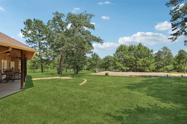 a view of a park with large trees