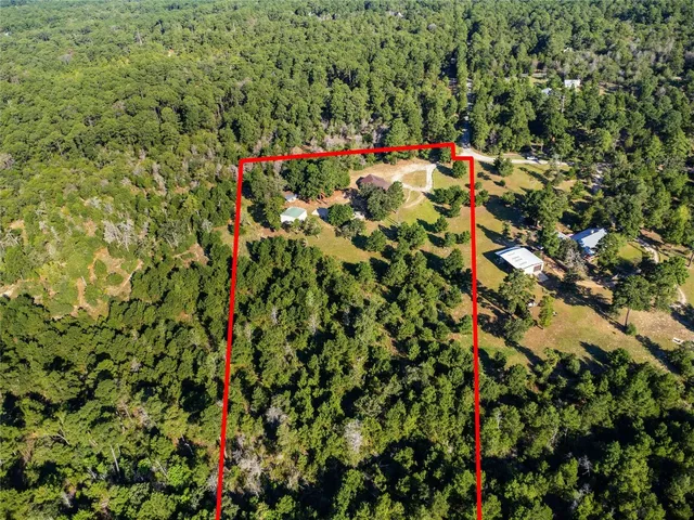 a picture of flowers