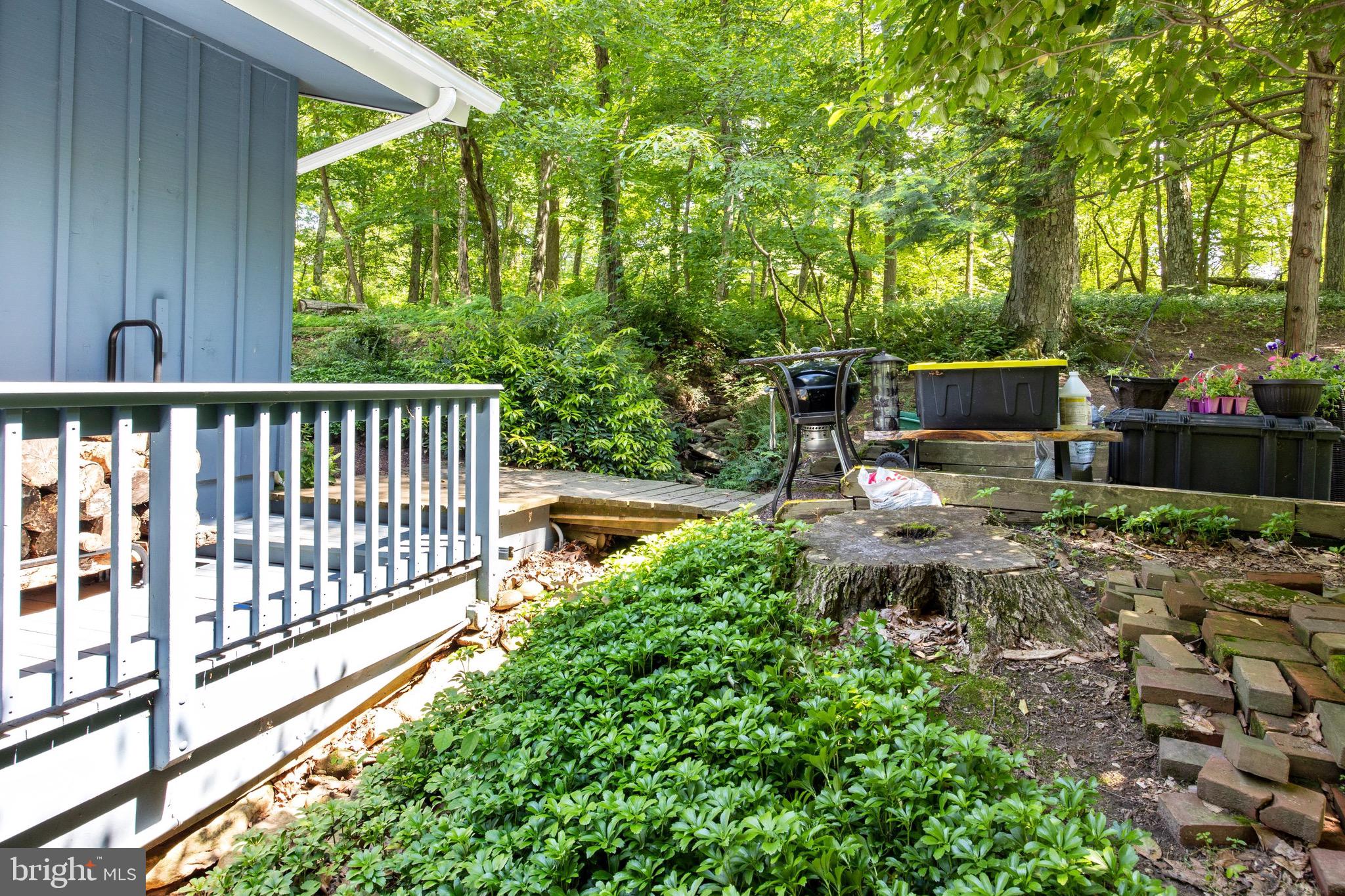 949 Highland Road Newtown, PA 18940 - Photo 49 of 50 Surrounding Nature