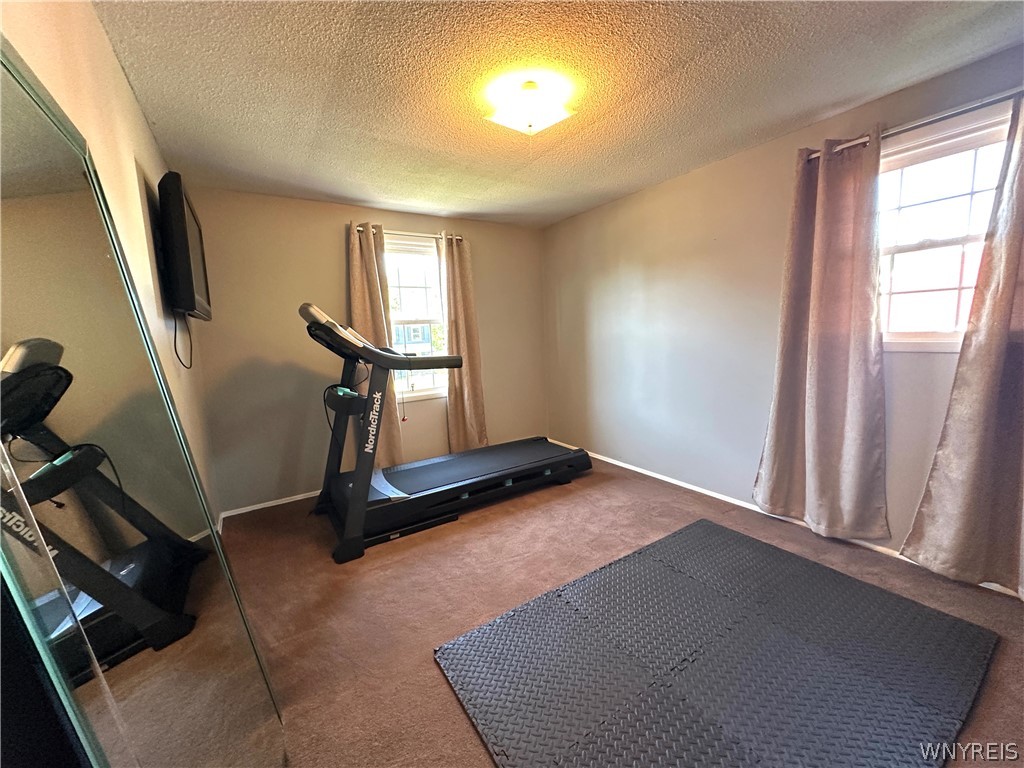 119 Treehaven Road West Seneca, NY 14224 - Photo 27 of 47
