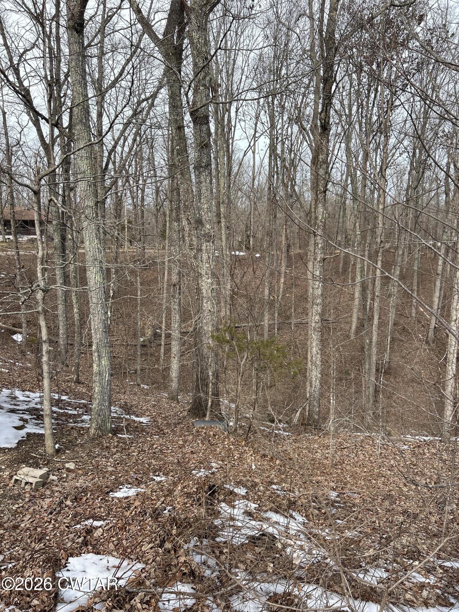 793 Ridgeway Drive Sugar Tree, TN 38380 - Photo 20 of 20 IMG_6102