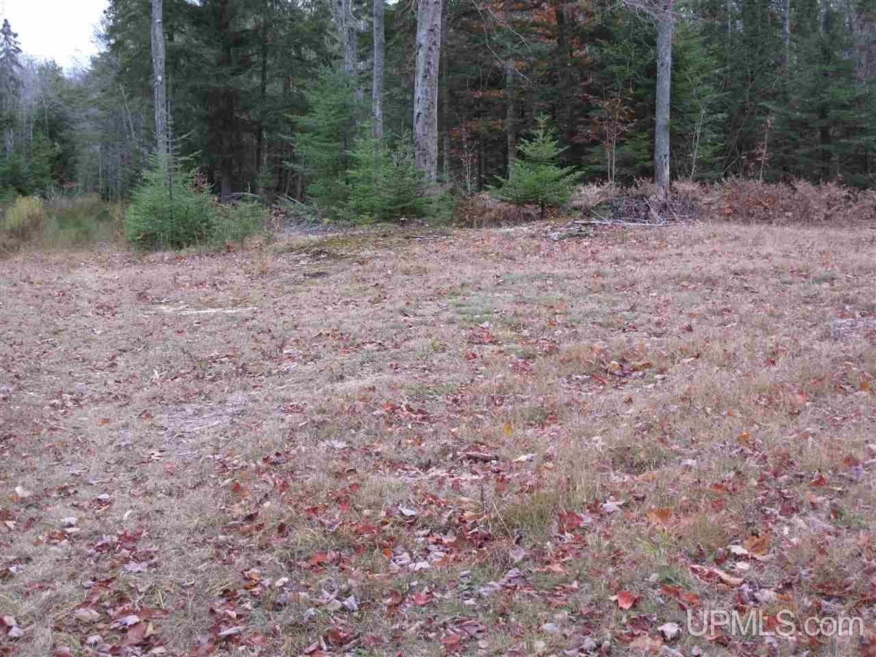 22405 Webb Road Grand Marais, MI 49839 - Photo 8 of 32 Gallery Image 8