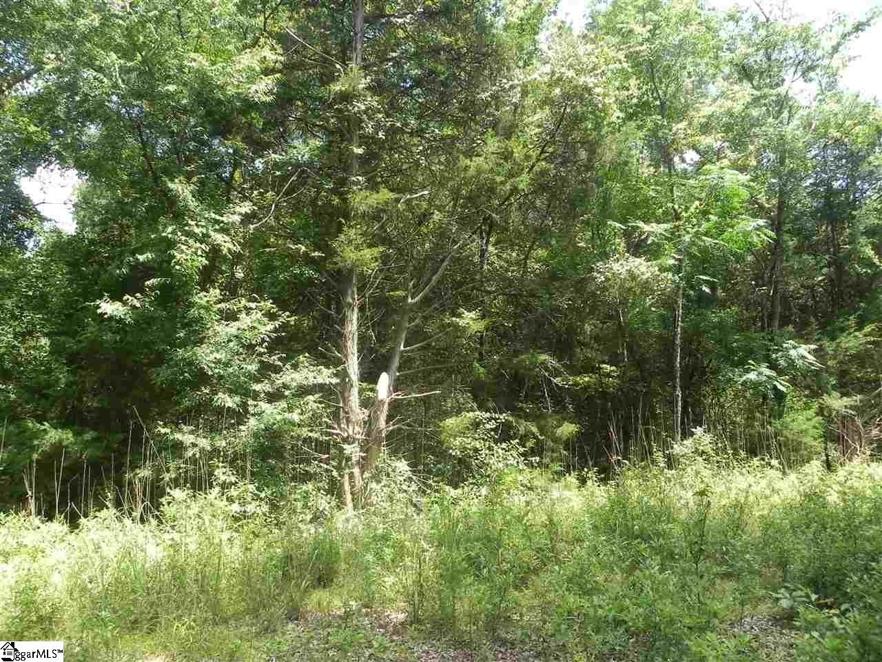 1611 Price House Road, Unit LOT 16 Roebuck, SC 29376 - Photo 17 of 28