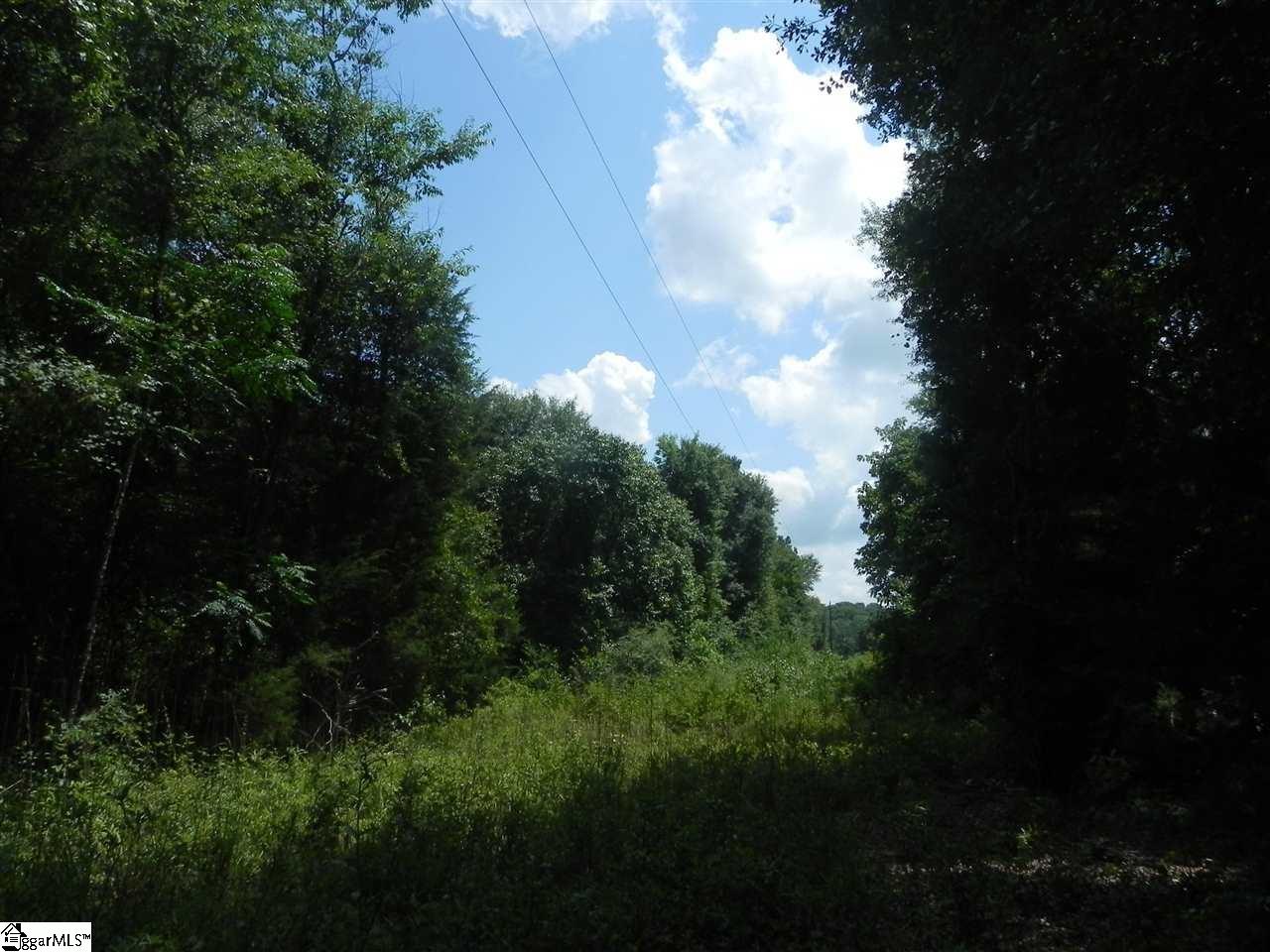 1611 Price House Road, Unit LOT 16 Roebuck, SC 29376 - Photo 19 of 28