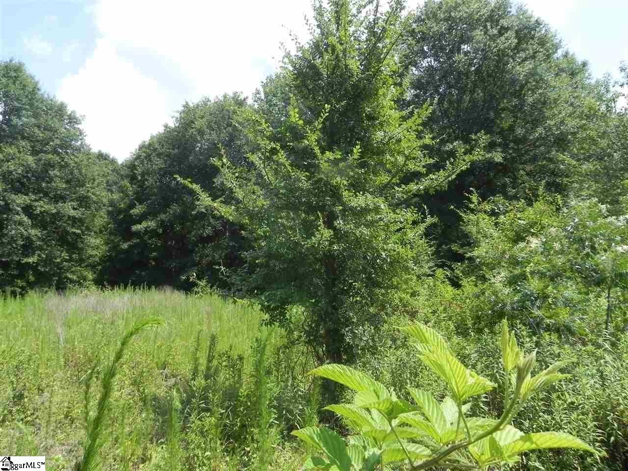 1611 Price House Road, Unit LOT 16 Roebuck, SC 29376 - Photo 2 of 28