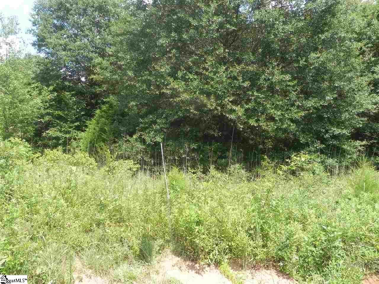 1611 Price House Road, Unit LOT 16 Roebuck, SC 29376 - Photo 23 of 28