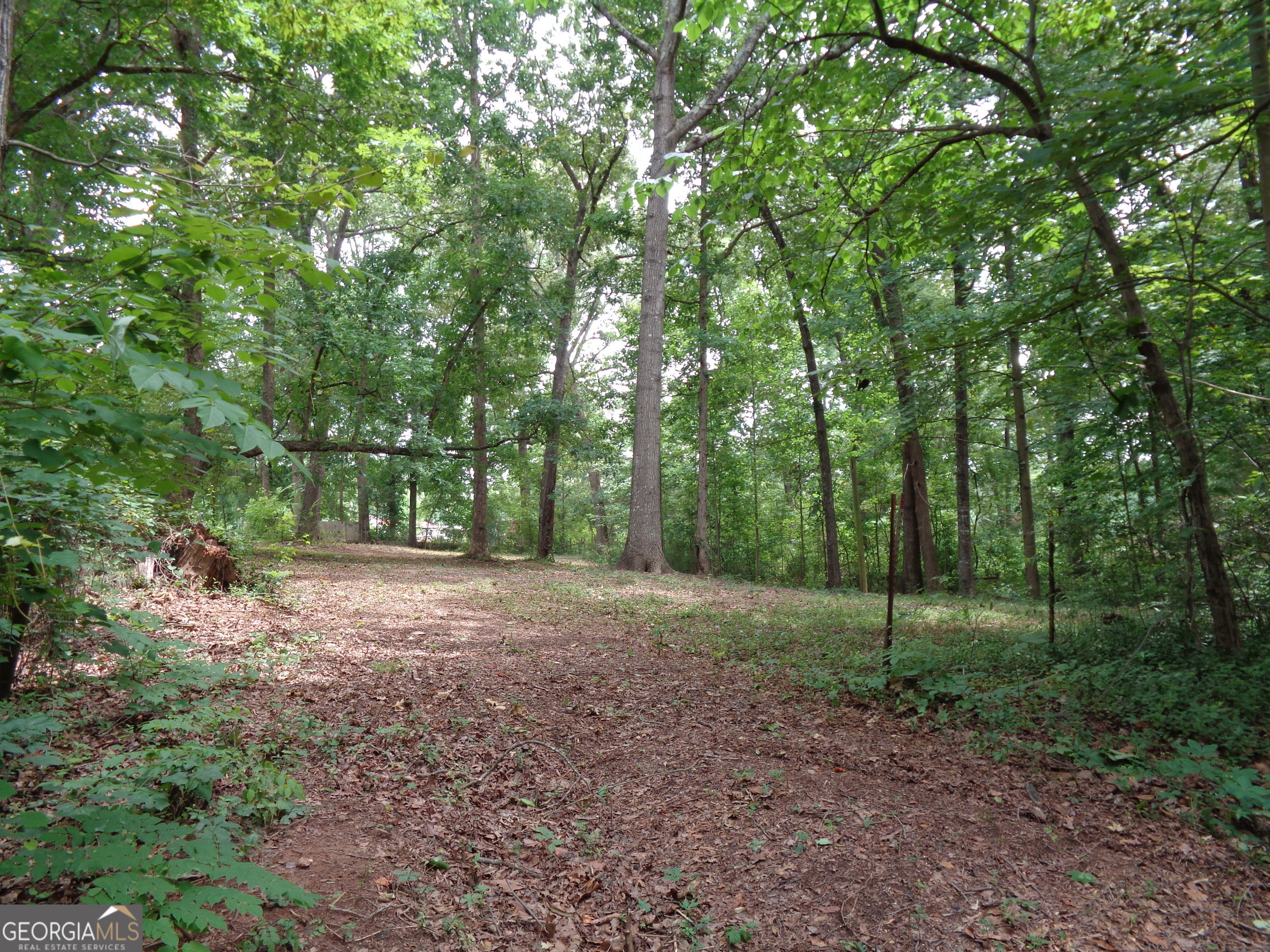 2411 Kesler Road Carnesville, GA 30521 - Photo 41 of 61 a view of a forest with trees in the background