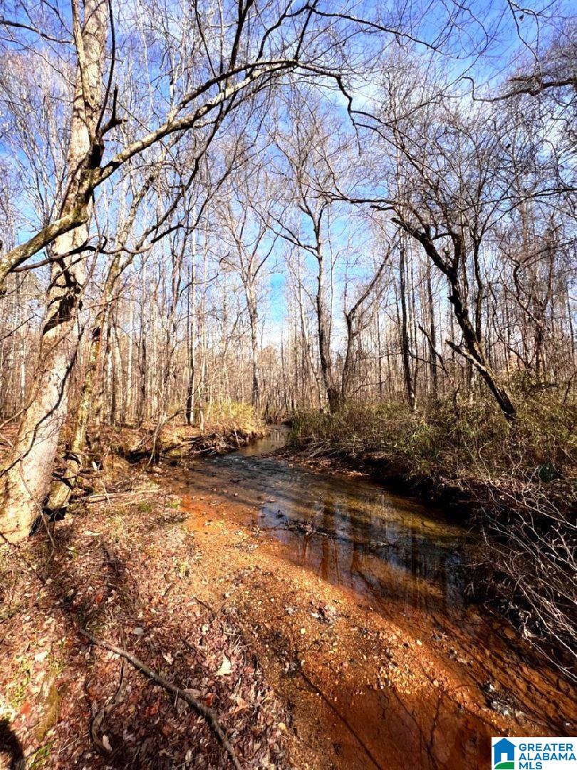 3045 Corinth Road, Unit 56 ACRES Cragford, AL 36255 - Photo 13 of 29