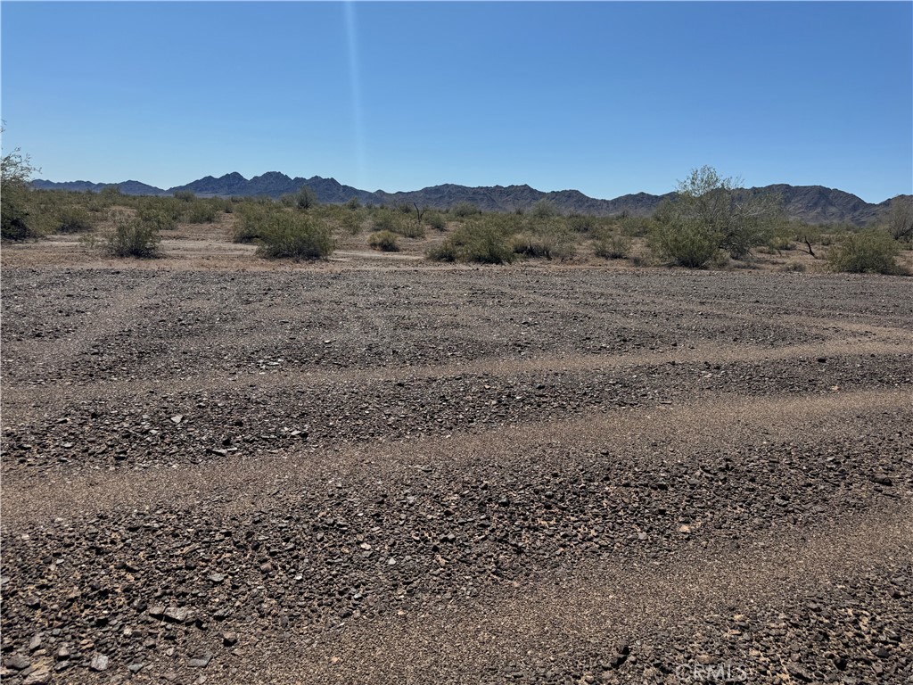 a view of a dry field with mountains in the background
