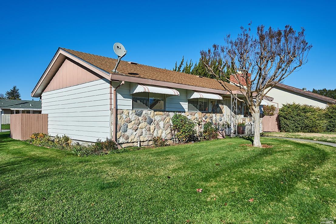 a backyard of a house with plants and large tree