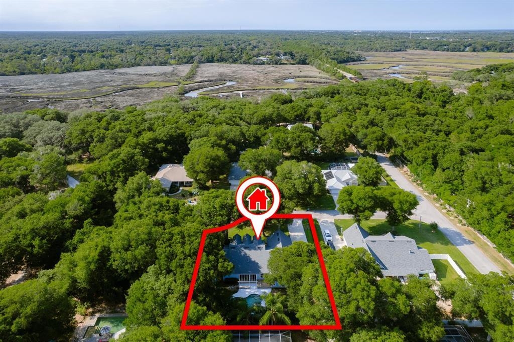 205 Shirley's Way St. Augustine, FL 32086 - Photo 51 of 56