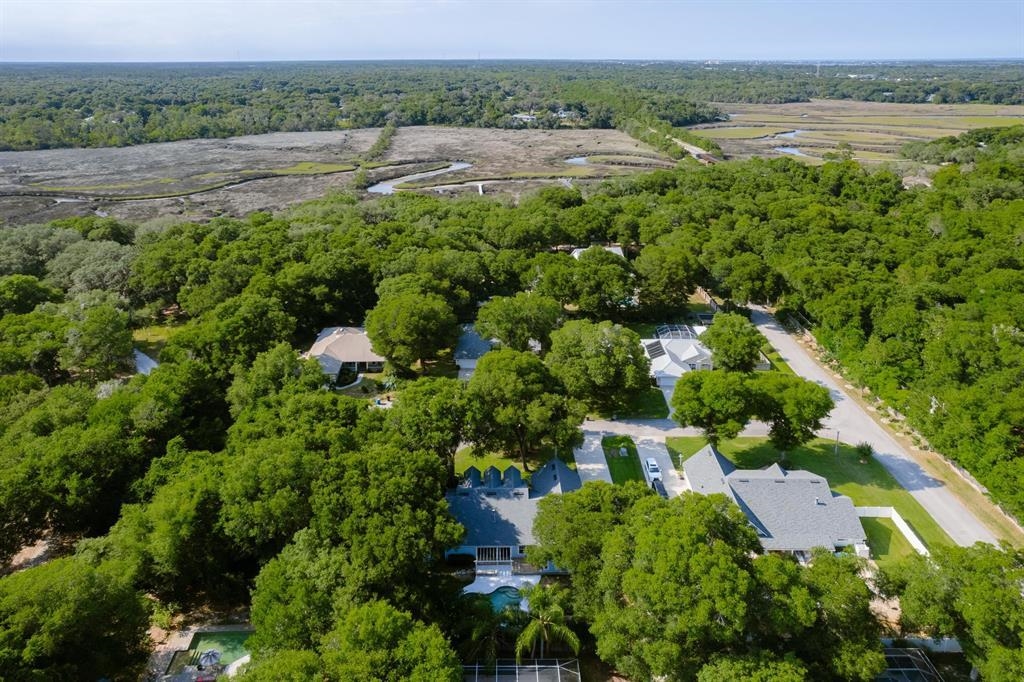 205 Shirley's Way St. Augustine, FL 32086 - Photo 52 of 56 an aerial view of multiple house