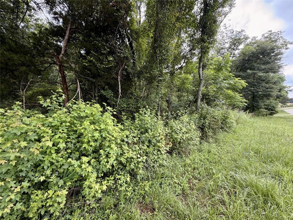 0 Maddox Road Hoschton, GA 30548 - Photo 5 of 17 Gallery Image 5