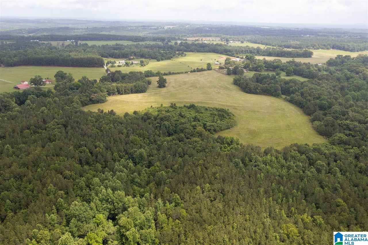 0 County Road 368 Verbena, AL 36091 - Photo 10 of 13